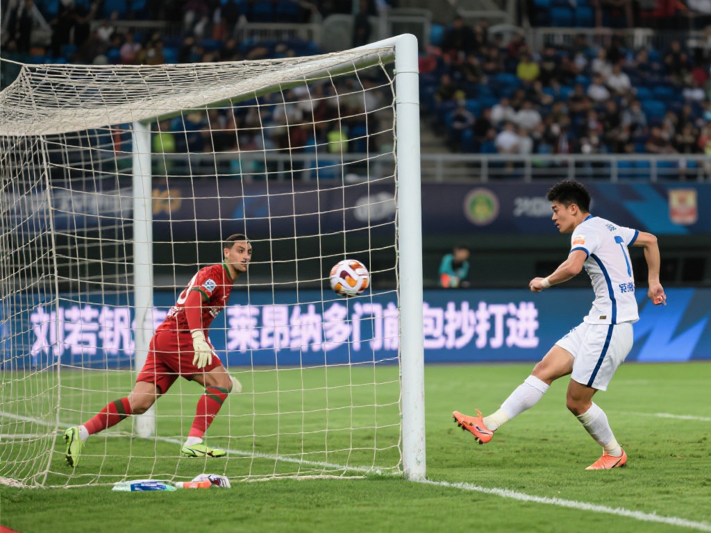 的角度看 的角度看